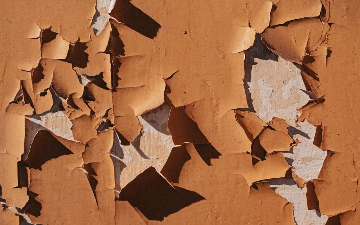 Paint peeling away from a wall in sheets